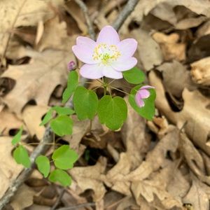 Meet your Posher, Adrian